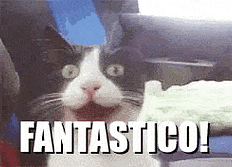 GIF-2021-11-20-13-58-28