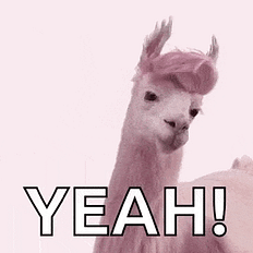 GIF-2021-11-20-13-58-45